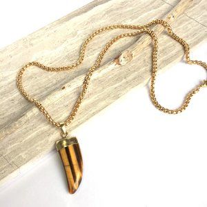 Tigers eye claw Pendant Thick Gold Chain Necklace